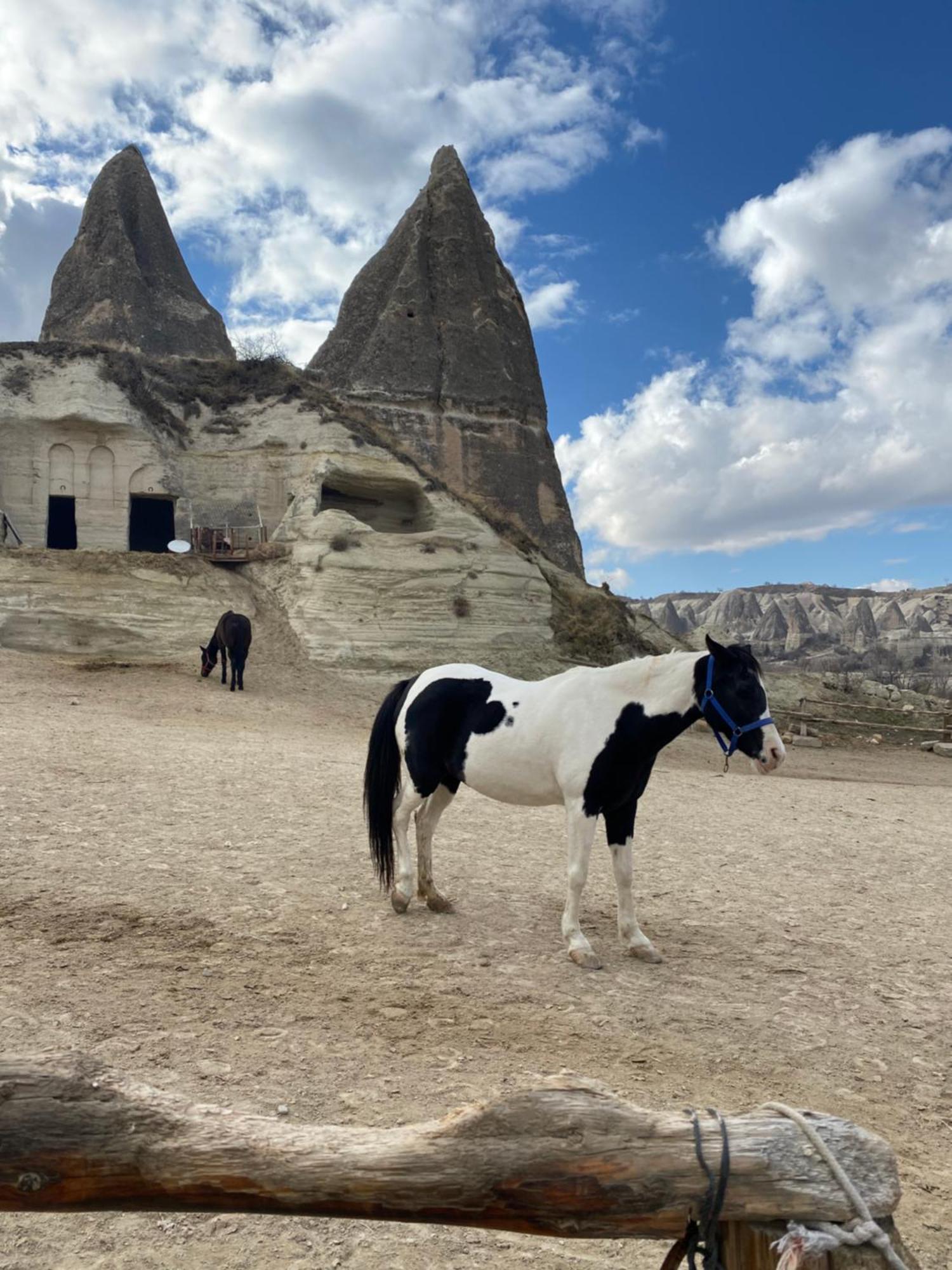 Sinasos Evleri Hotel Nevşehir Buitenkant foto